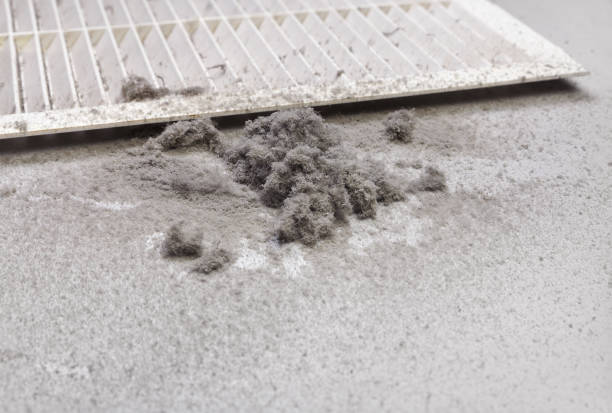 Best Affordable Air Duct Cleaning  in Northbrook, OH